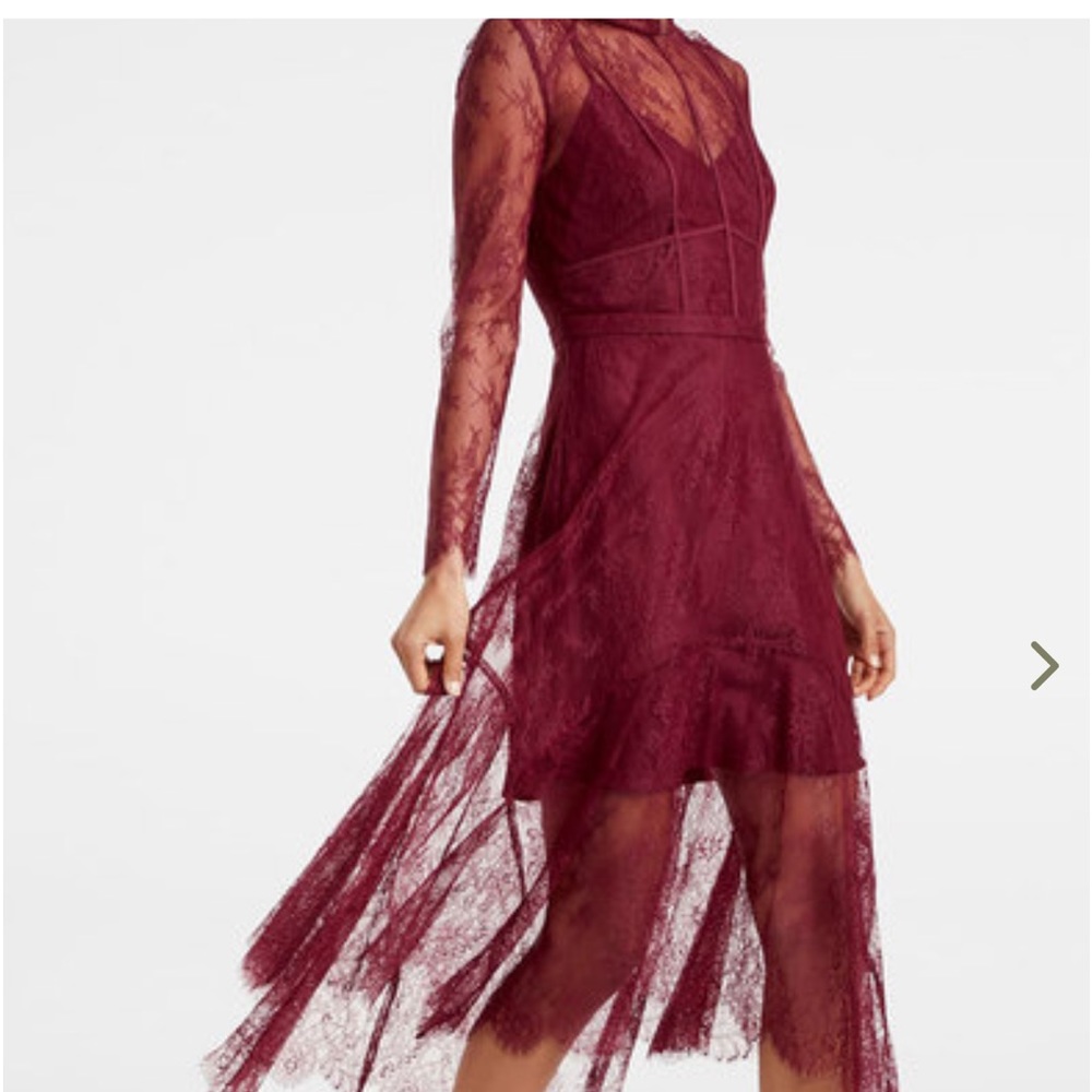 Ever New Arya Chantilly Lace Midi Dress - Picture 2 of 7